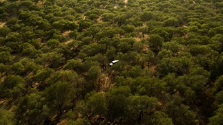 A Tapada de Coelheiros é uma propriedade de 850 hectares: sustentabilidade é palavra de ordem — Foto: Divulgação