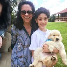 Gal Costa com o filho e os cães Hobgood e Sadi — Foto: Reprodução/Instagram e Facebook