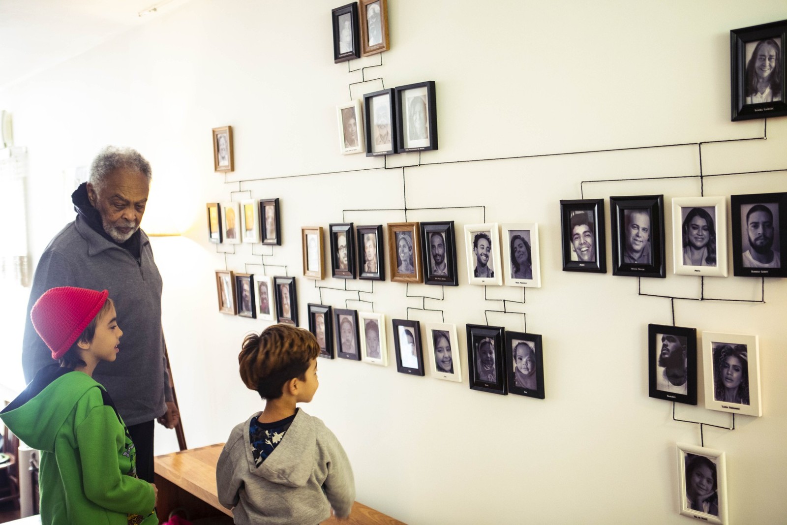 A árvore genealógica da Família Gil - Foto de divulgação