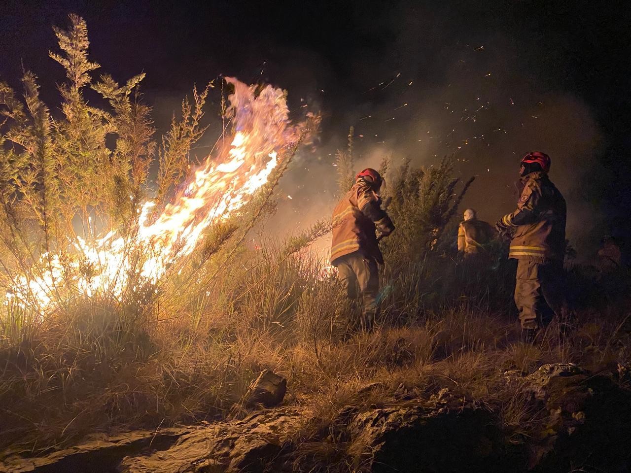 Fogo atinge vegetação na Parte Alta do Parque Nacional de Itatiaia, no Sul do Rio — Foto: Divulgação/CBMERJ