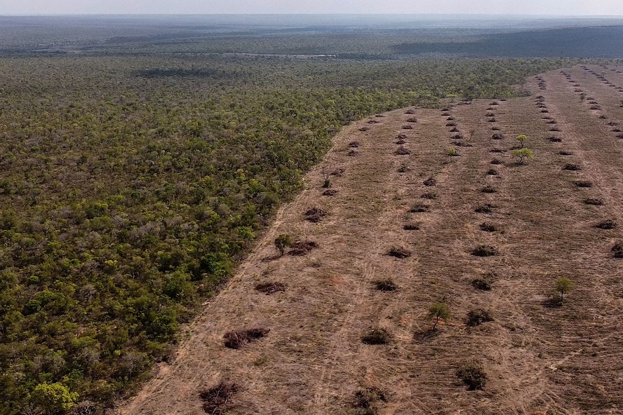 Vista aérea de desmatamento do Cerrado nativo em São Desidério, oeste da Bahia