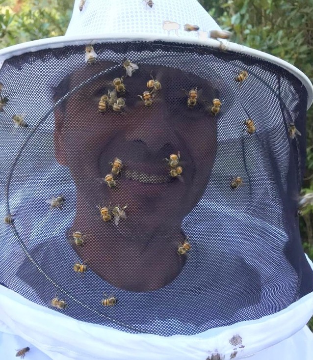 A fazenda também tem investe na produção de mel. Na foto, o ator Marcos Palmeira participa do processo de extração — Foto: Reprodução/Redes sociais