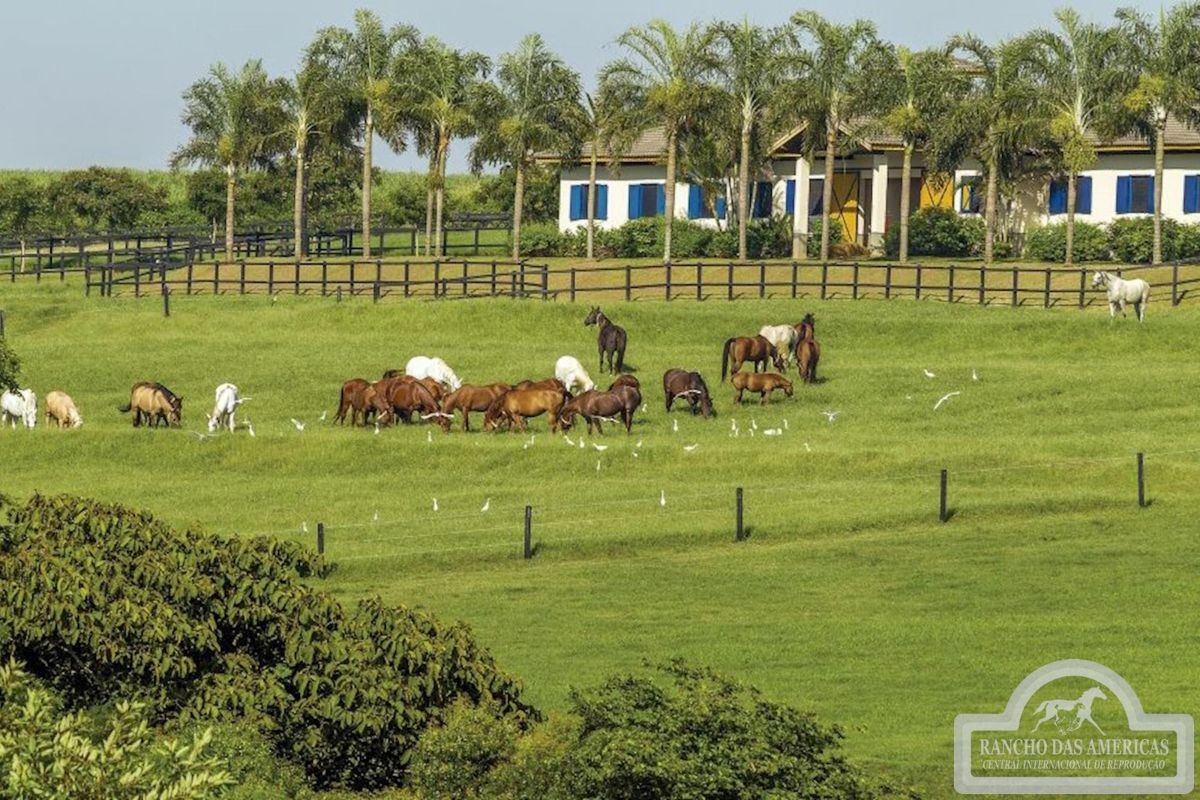 Conheça o rancho milionário do cantor sertanejo Sorocaba — Foto: Site Oficial Rancho das Américas