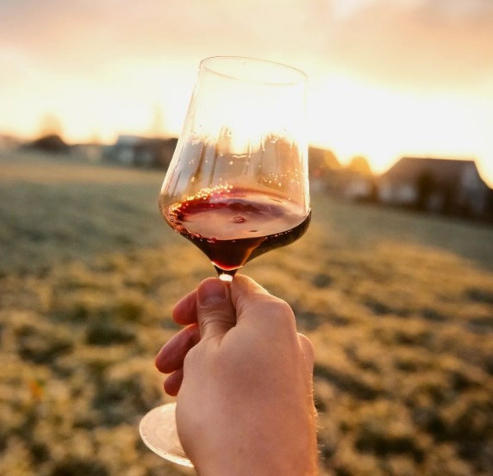 Malbec: a variedade de origem francesa ganhou fama com os vinhos argentinos — Foto: Divulgação / Instagram Wines of Argentina