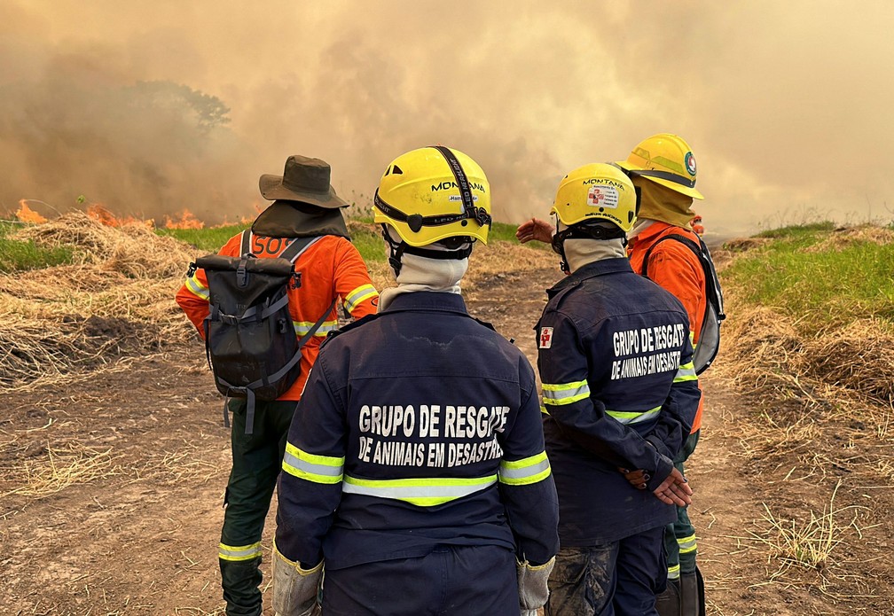 299 servidores públicos estão envolvidos no combate às chamas no Pantanal — Foto: Rogério Florentino/AFP