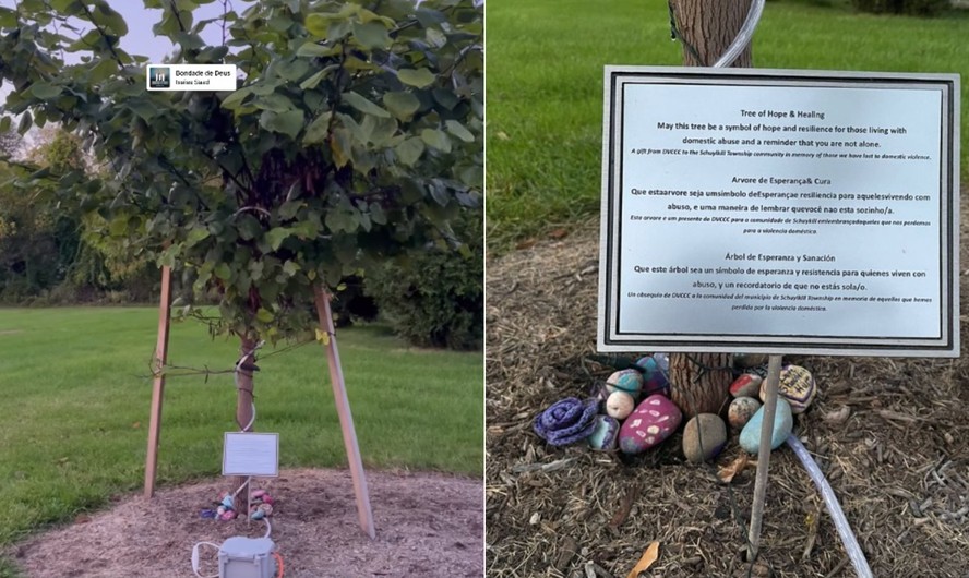 Família cria memorial em homenagem a Débora Brandão, morta por Danilo Cavalcante