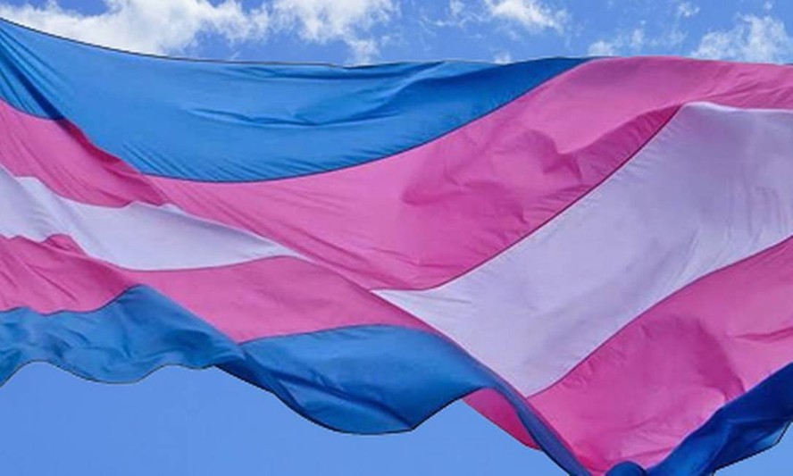 Bandeira trans