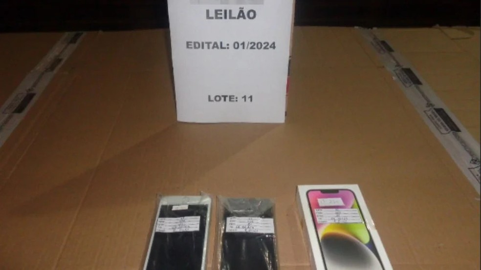 No lote 11, por exemplo, a RFB colocou um IPhone 8 plus de 64GB e um 14 de 128GB com o preço mínimo de R$ 1.089 — Foto: Divulgação / Receita Federal