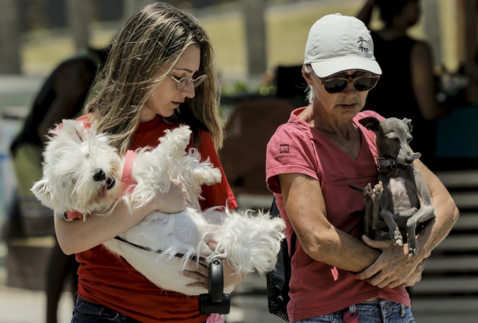 No Leme, por volta do meio-dia, donas carregam seus cãezinhos no  colo enquanto caminham no calçadão — Foto: Gabriel de Paiva / Agência O Globo