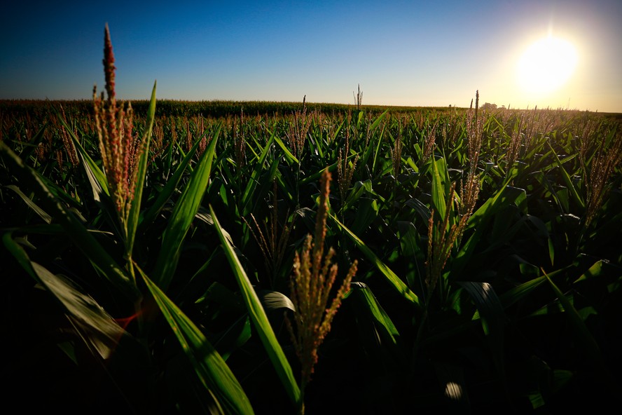 PIB brasileiro voltou a crescer e agropecuária teve bom desempenho