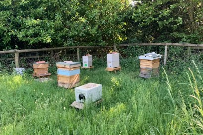 Há um campo de golfe de 9 buracos, um campo de pólo, uma fazenda de abelhas e um mini clube Masterchef — Foto: Divulgação  Lambrook School,