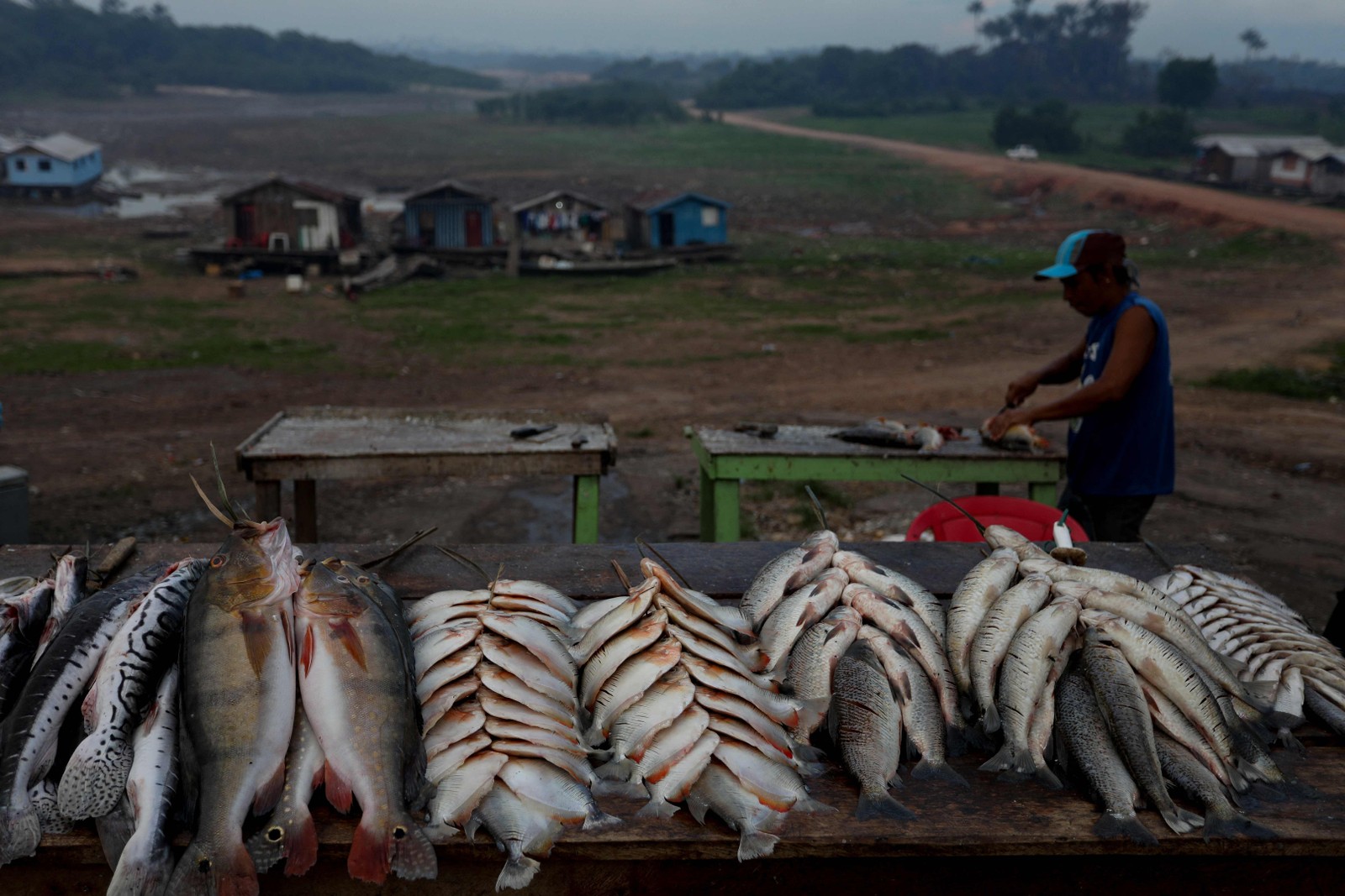 Homem limpa peixes às margens do leito seco do Rio Negro em Iranduba — Foto: Michael Dantas / AFP