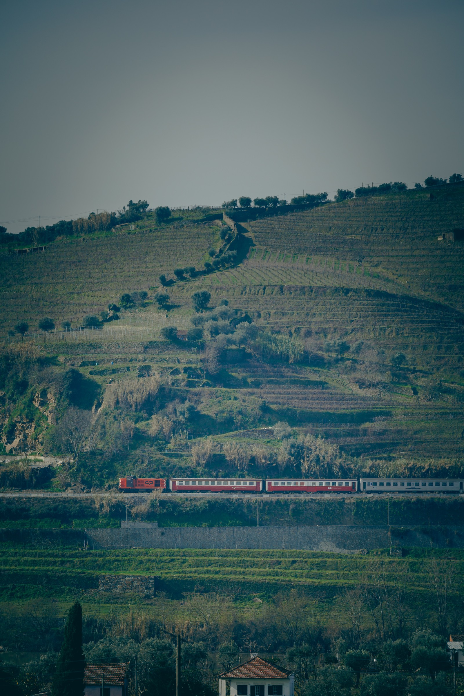 O trem que passa nos arredores da Quinta da Pacheca, em Lamego, no Norte de Portugal — Foto: Divulgação / Pedro Sarmento Costa
