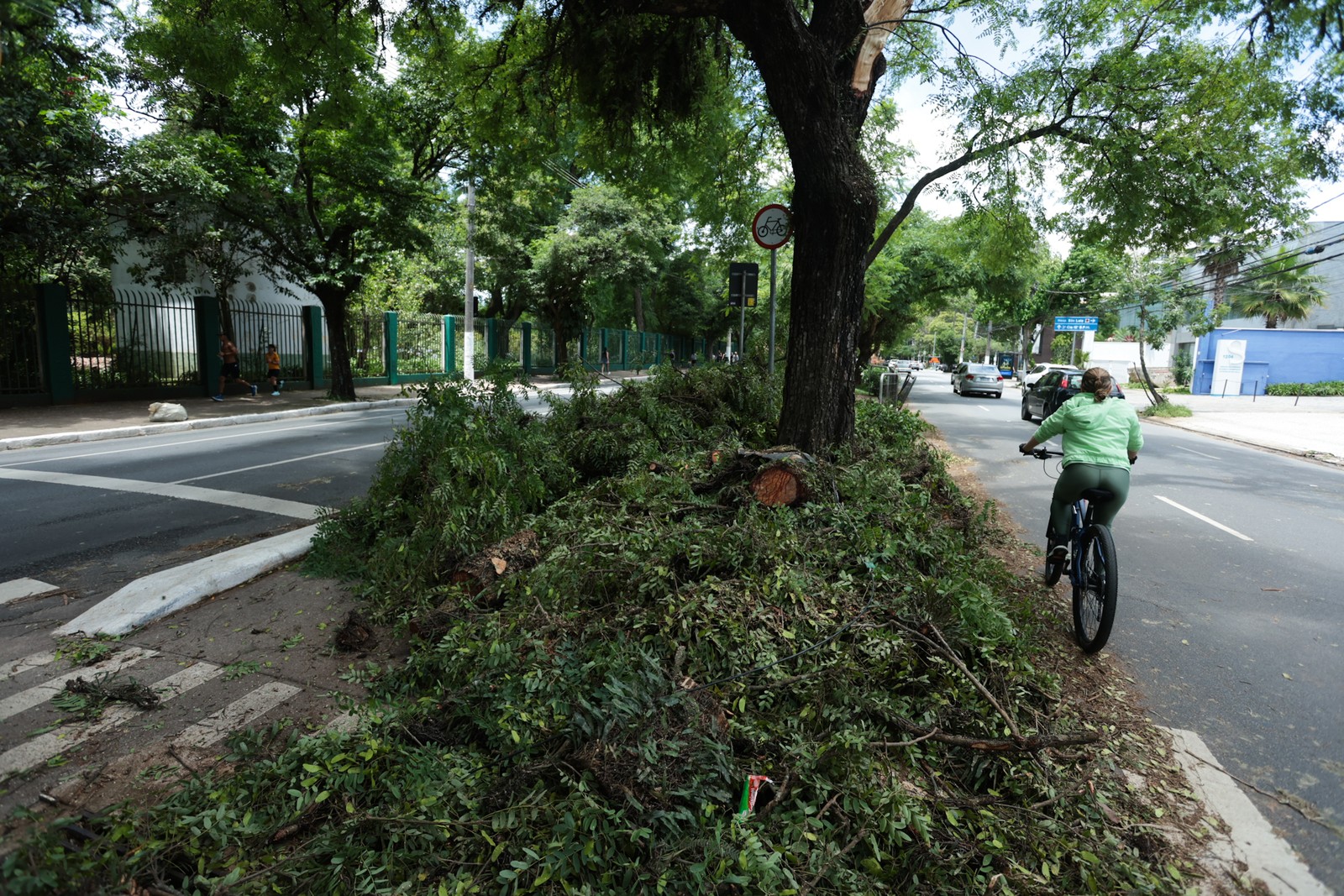 Prefeitura de SP diz que 76 árvores caíram; 43 foram removidas até o meio-dia de sábado — Foto: Maria Isabel Oliveira / Agência O Globo