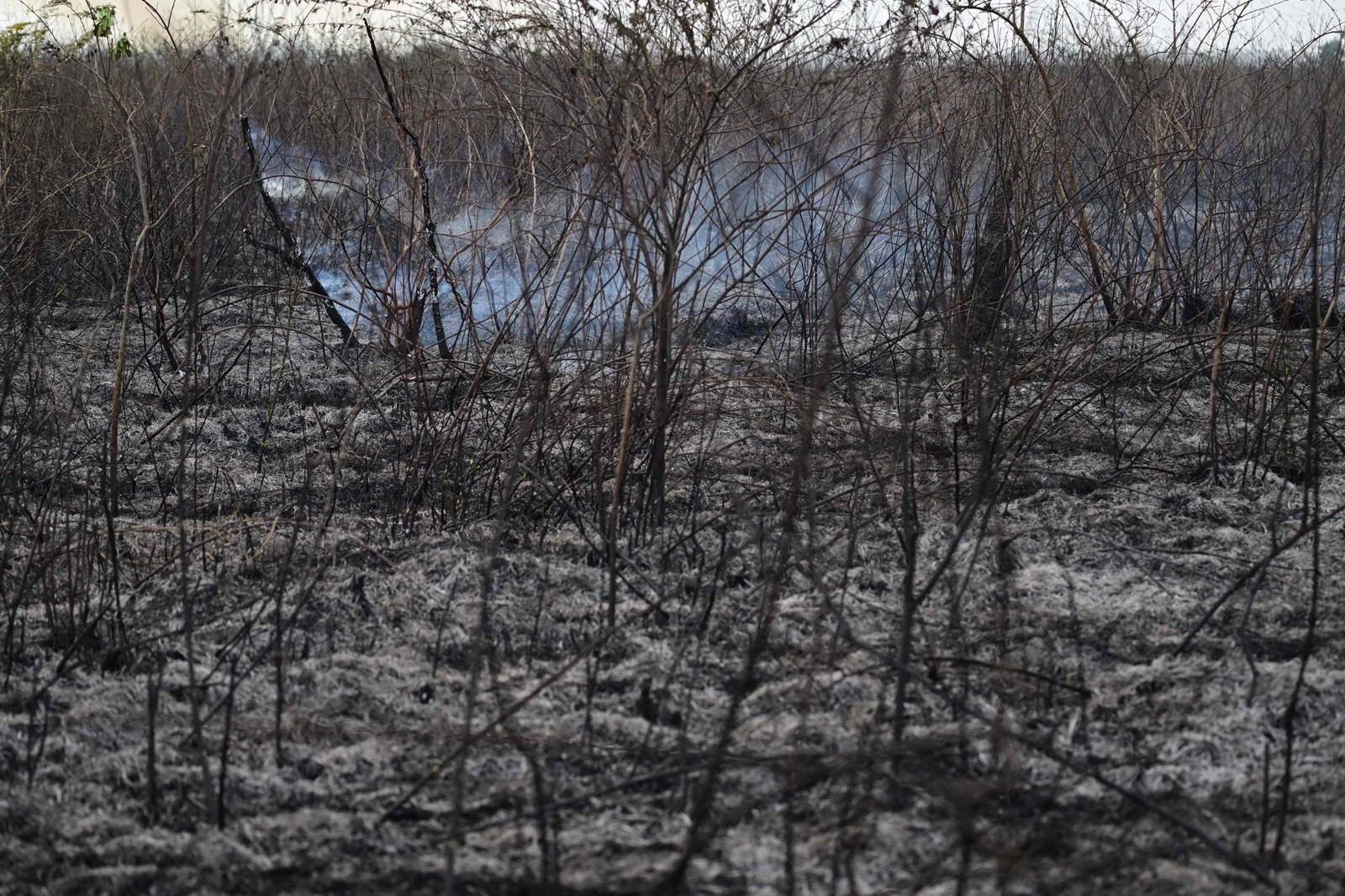 Área atingida por incêndio florestal no Pantanal — Foto: Pablo PORCIUNCULA / AFP
