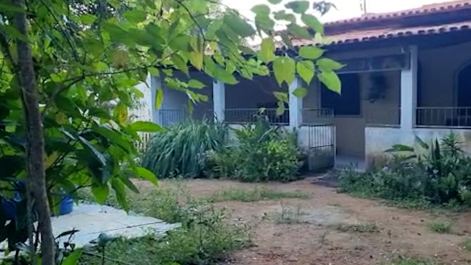 Fazenda de café do bicheiro Rogério Andrade, na Bahia, só tem mato e casa com maquinário antigo e parado