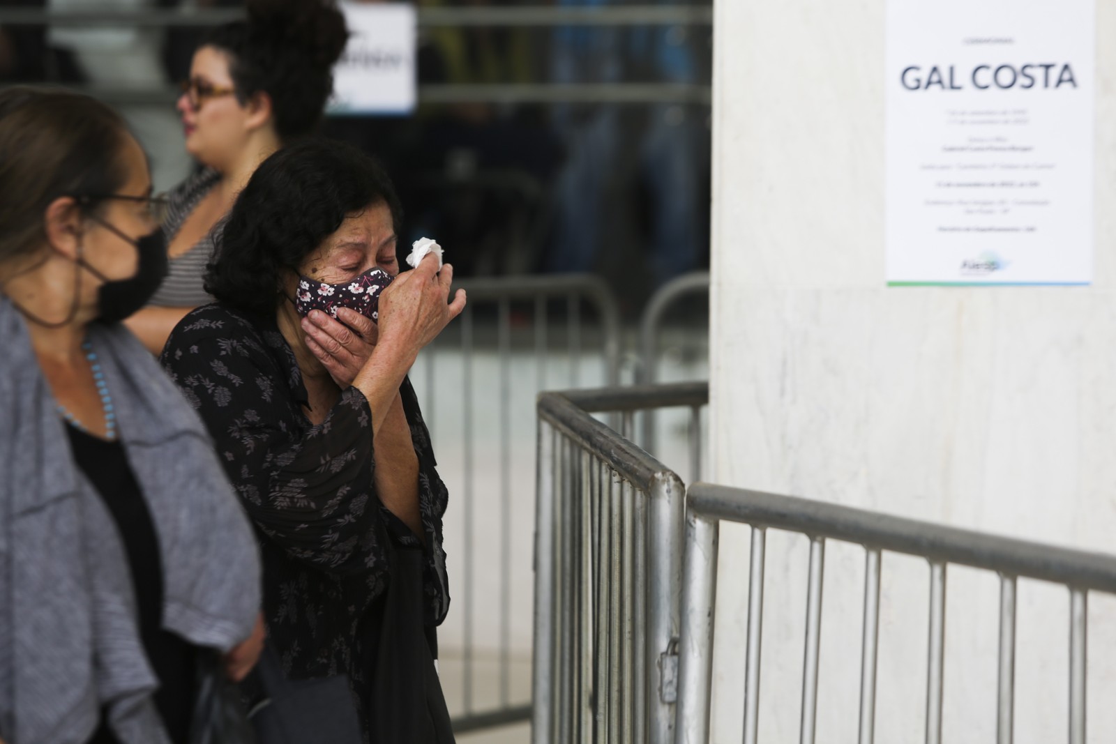 Velório de Gal Costa aconteceu na Alesp e foi aberto ao público — Foto: Maria Isabel Oliveira/Agência O Globo