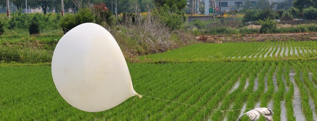 Balão lançado pela Coreia do Norte aterrissa em plantão de arroz de Incheon, território do Sul — Foto: YONHAP / AFP