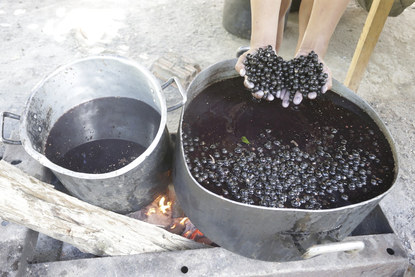 O produção de açaí na aldeia Apiwtxa é farta . Essa "iguaria" amazônica é servida em todas as refeições e não há quem não lamba os beiçõs -  Foto: Domingos Peixoto / Agência O Globo 