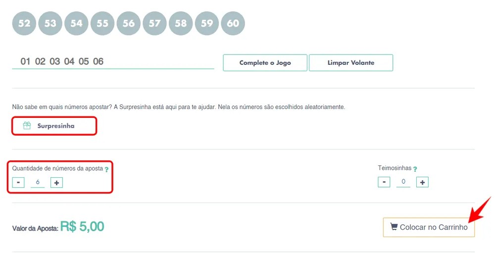 Se preferir, desça a tela e opte por "Surpresinha", onde o sistema selecionará números aleatórios para sua aposta. Ao concluir, clique em "Colocar no carrinho". — Foto: Reprodução