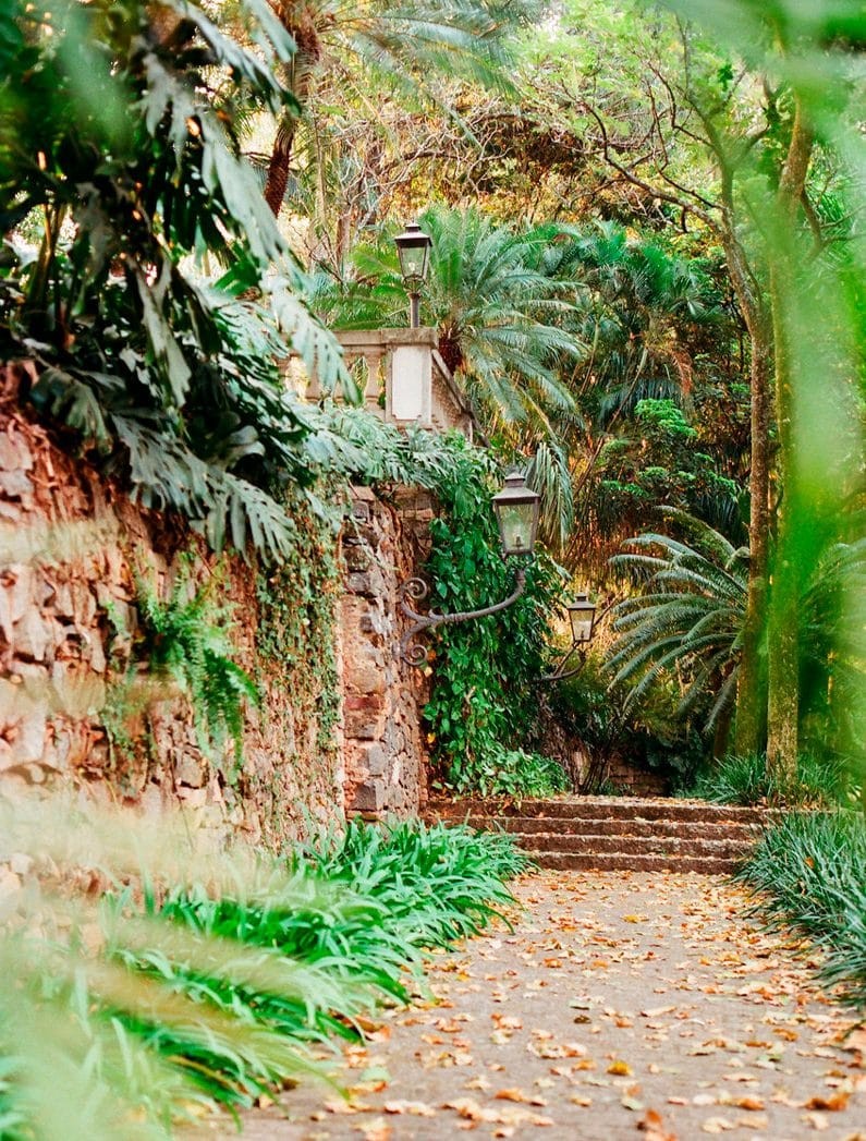 Imagens da Fazenda Vila Rica — Foto: Divulgação