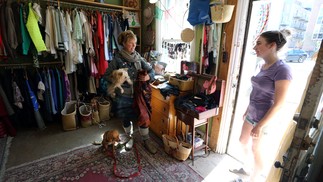 Oscar e Canela trabalham junto com sua dona Emma Inns na Adorit Boutique, em Ottawa.AFP