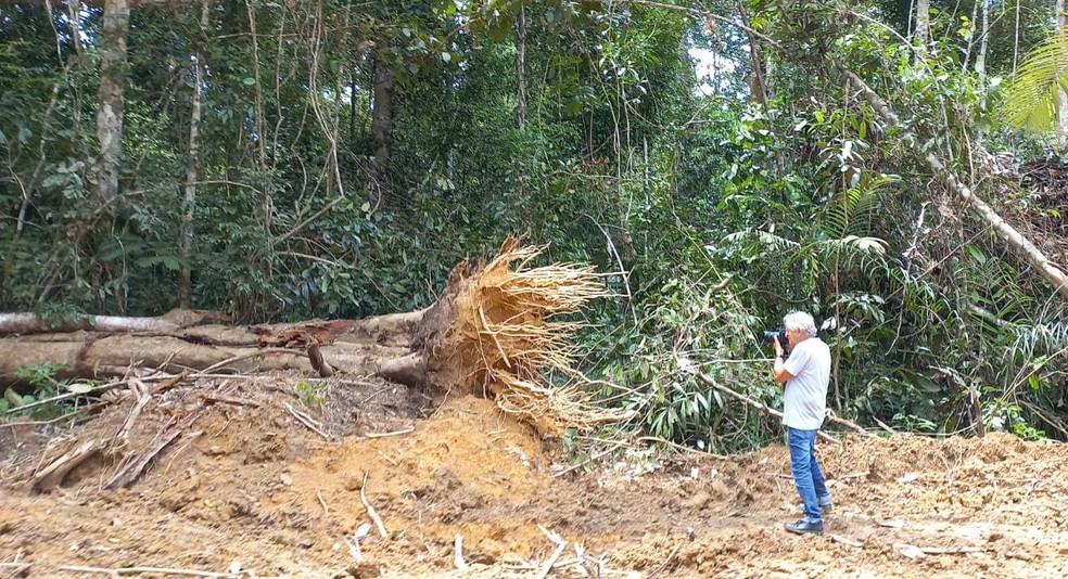 Fernando Gabeira em ‘Pelas estradas do Brasil - Amazônia’, nova série de documentários da Globonews sobre a Amazônia — Foto: Reprodução