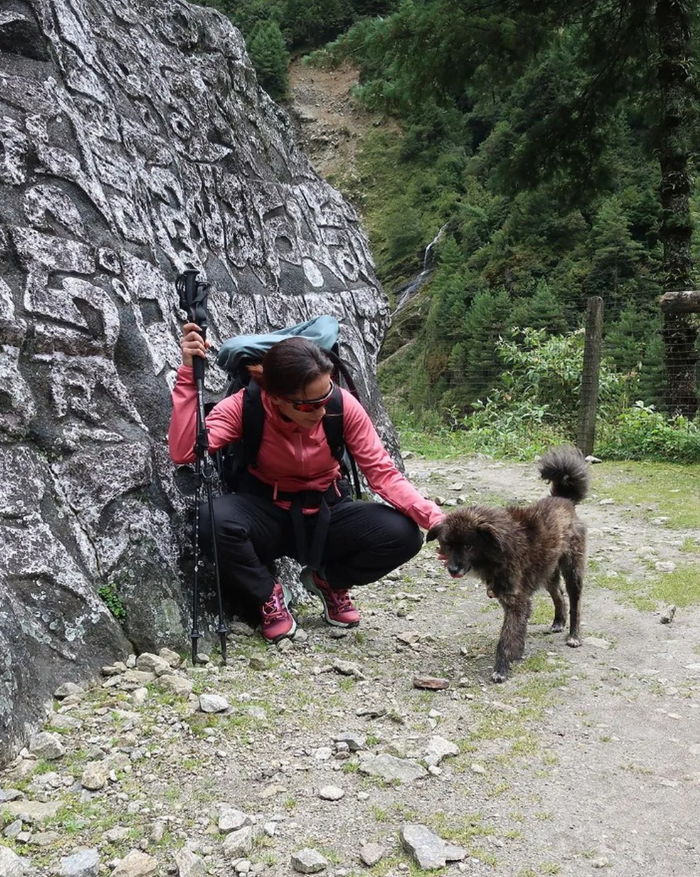 Cantora dá carinho em cachorro durante subida ao Everest, no Nepal — Foto: Reprodução/Instagram