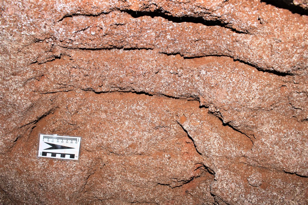 Marcas da preguiça na caverna: evidência de sua existência — Foto: Divulgação