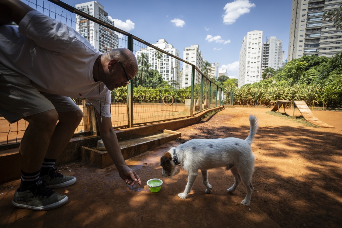 Cuidados com pets durante onda de calor: tutores têm preferido passear com seus pets pelas sombras, optando por lugares mais frescos, como parques — Foto: Maria Isabel Oliveira / Agência O Globo