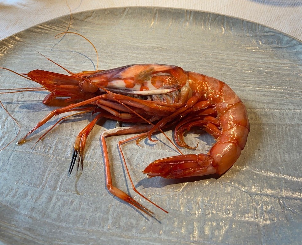 Para produtores de pescados, a cesta básica deveria incluir todas as categorias, incluindo crustáceos, como camarões (foto) — Foto: Alexandra Forbes