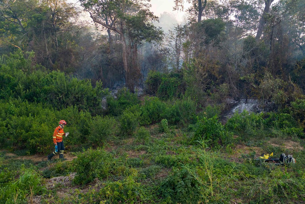 Atual incêndio no Pantanal é de difícil acesso — Foto: Rogério Florentino/AFP