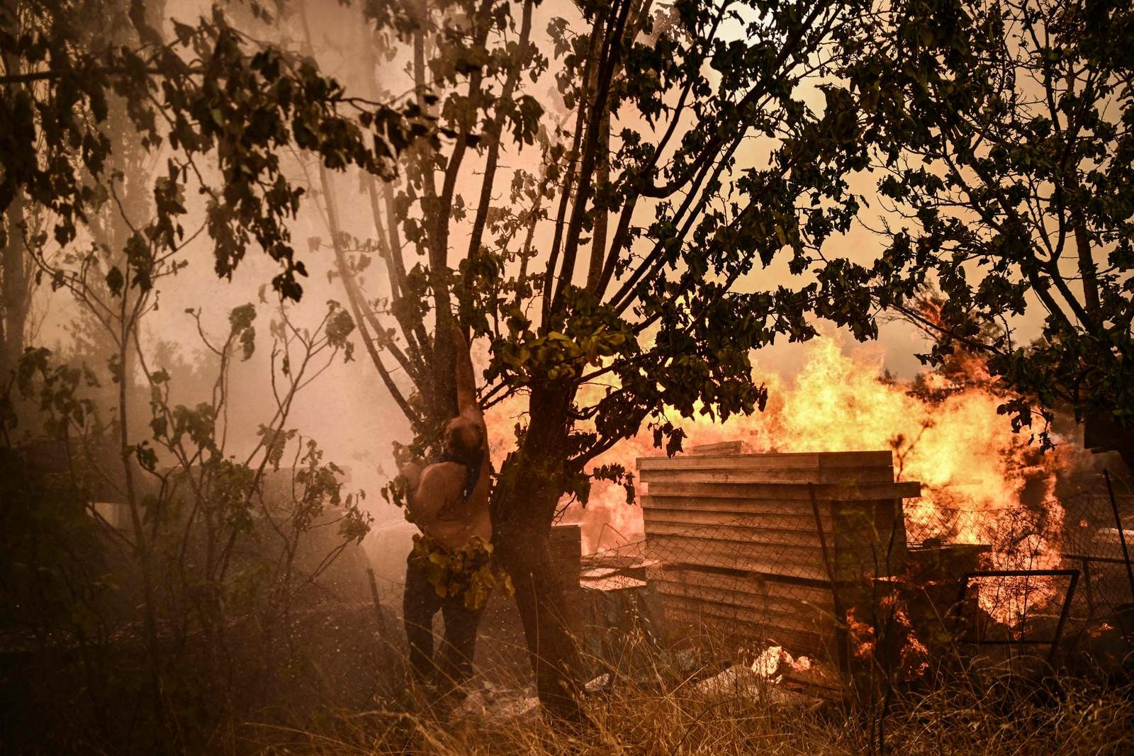 Um homem tenta cortar galhos de uma árvore durante um incêndio florestal em Chasia, nos arredores de Atenas — Foto: Angelos Tzortzinis/AFP