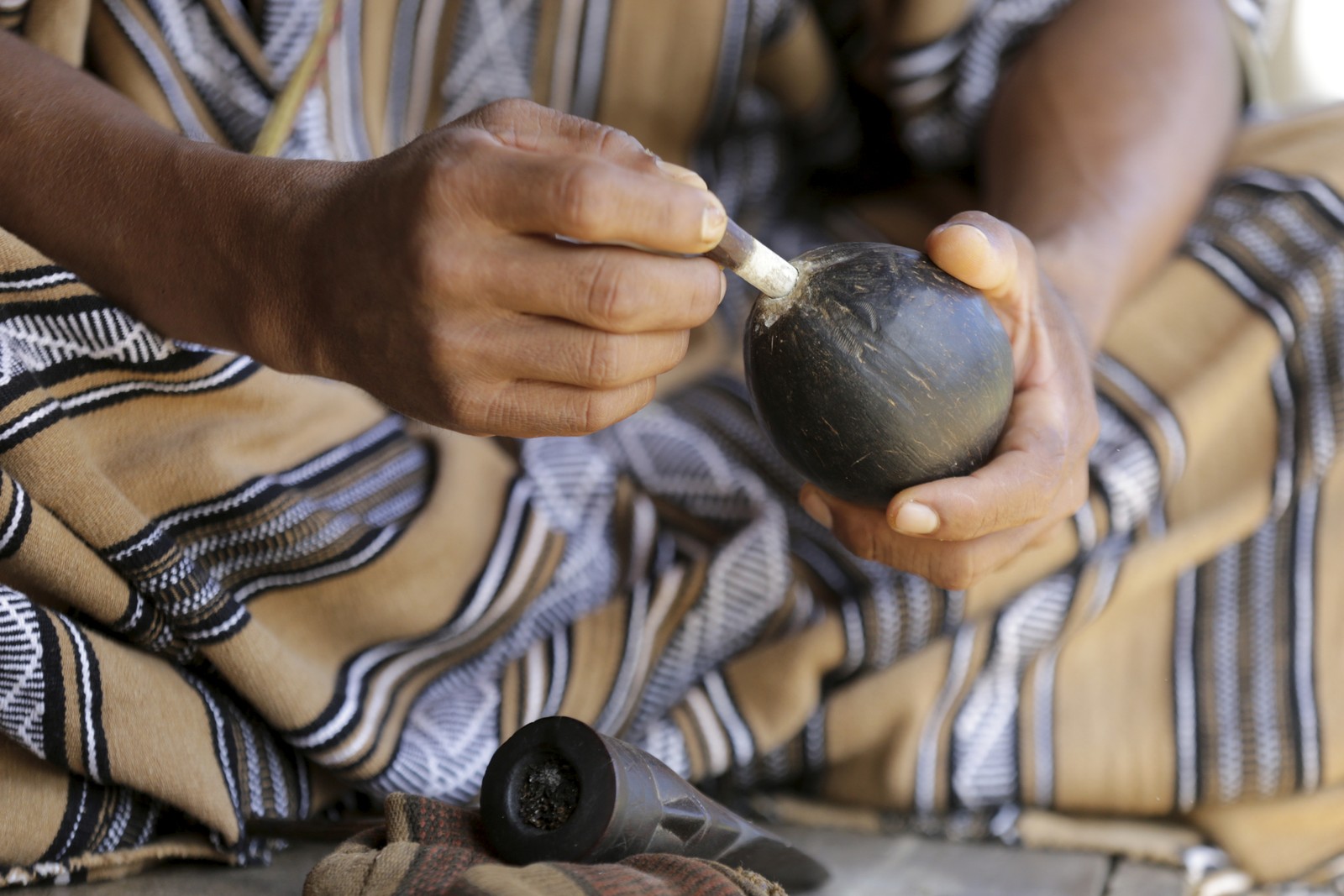 Além do kamarãpi, os ashaninka mascam a folha de coca com pedaços de cipó (txamayro) e um pó de pedra (ishiko, no detalhe da foto) para a cerimônia do Piyarētsi  — Foto: Domingos Peixoto / Agência O Globo