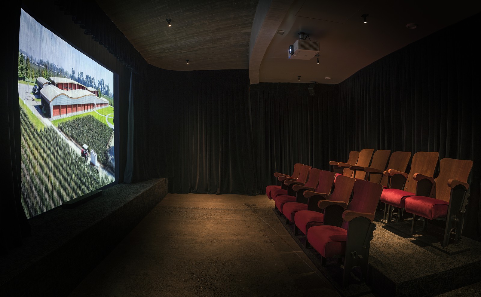 Uma sala com poltronas de antigo cinema de Valparaíso é parte da visita; video mostra como rótulo é produzido — Foto: Divulgação