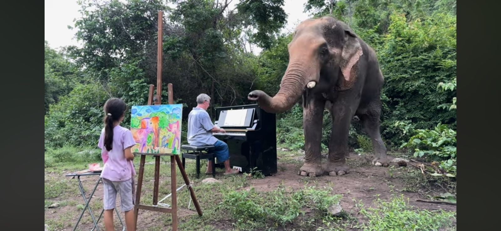 Paul toca piano para elefante, enquanto filha faz desenho do animal — Foto: Reprodução