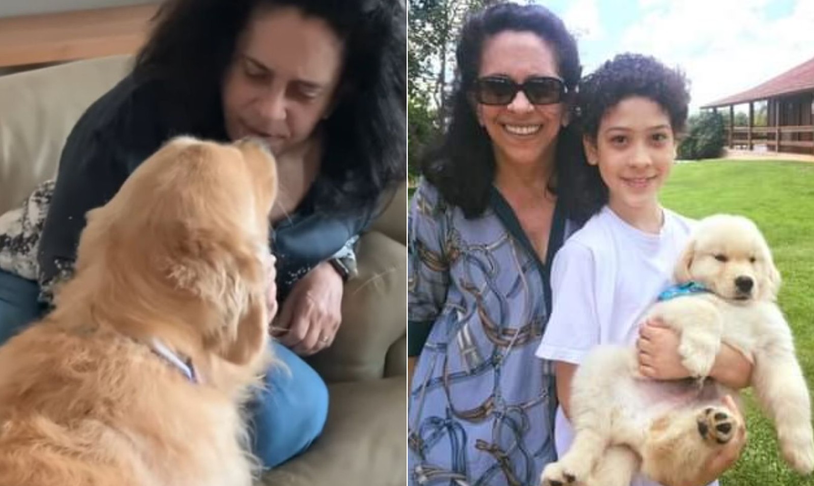 Gal Costa com o filho e os cães Hobgood e Sadi — Foto: Reprodução/Instagram e Facebook