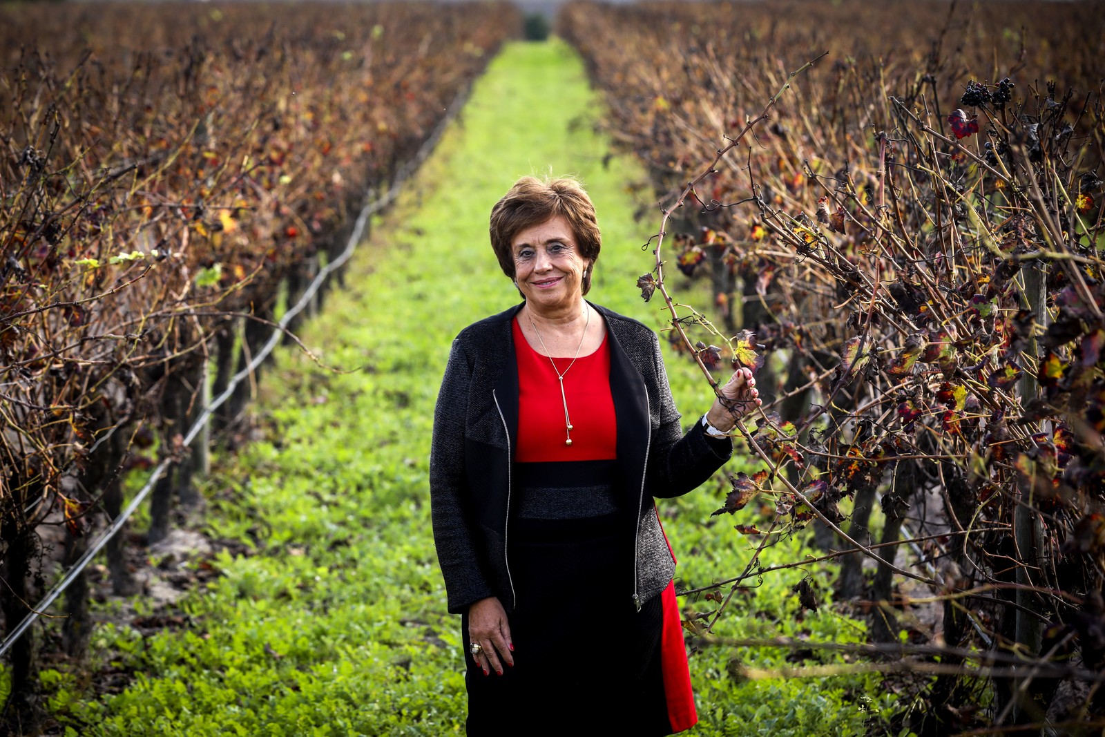 Leonor Freitas, empresária e gestora da Casa Ermelinda FreitasDaniel Rocha