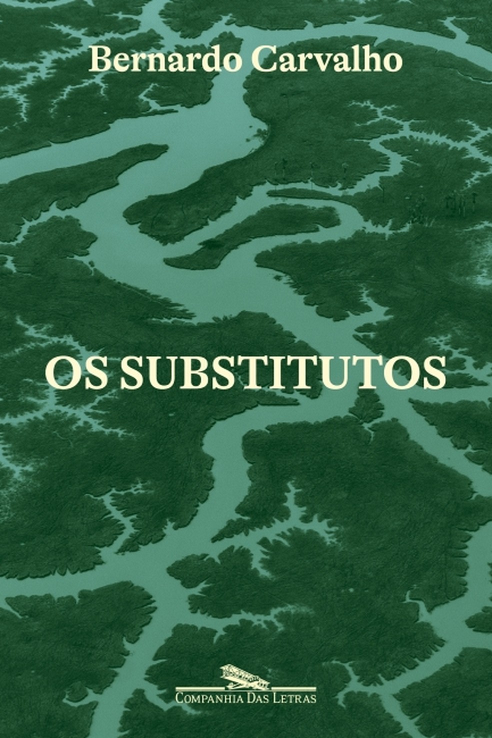 Capa do romance "Os substitutos", de Bernardo Carvalho, publicado pela Companhia das Letras — Foto: Reprodução
