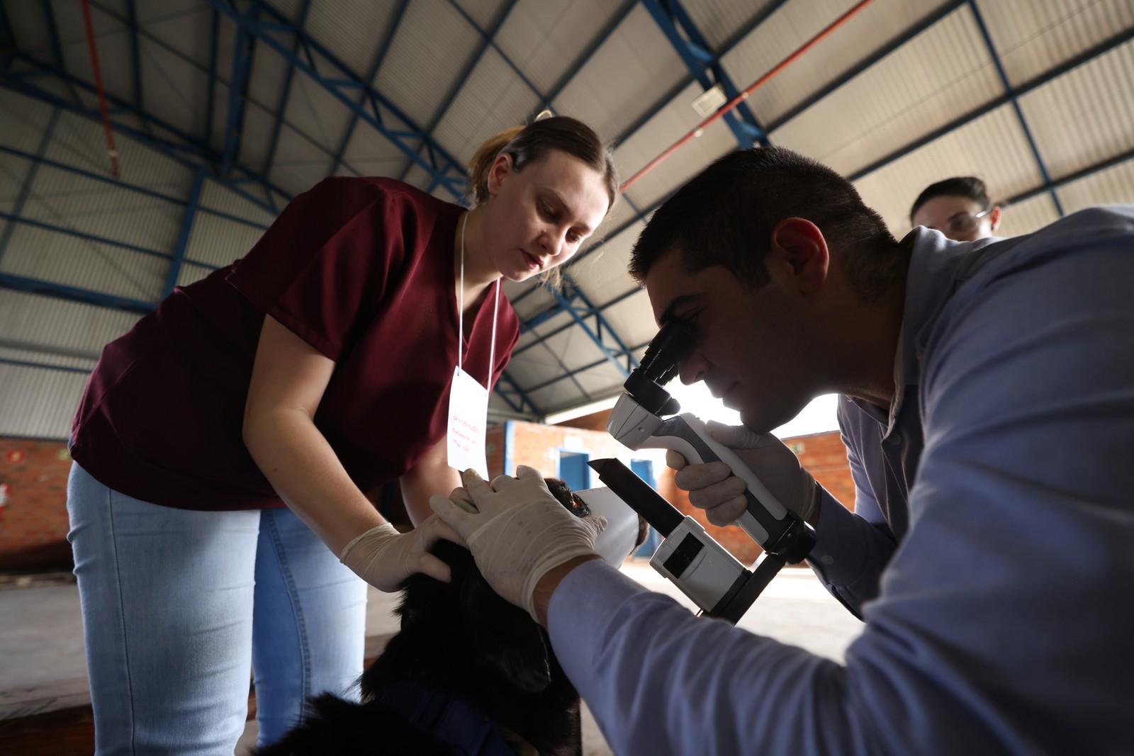 Organizações de proteção animal estão trabalhando para resgatar os bichinhos afetados pelas chuvas. — Foto: Marcelo Oliveira/PMSM