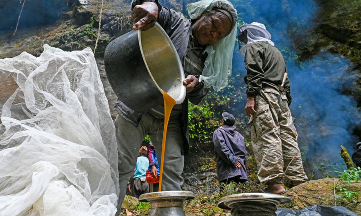 Mudança climática ameaça coleta e alavanca preço de 'mel alucinógeno' do Himalaia, sensação na web; entenda