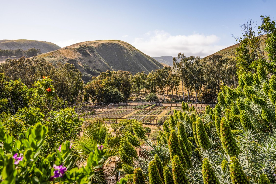 Rancho de James Cameron tem hortas e é totalmente autossustentável em energia — Foto: Divulgação/Village Properties
