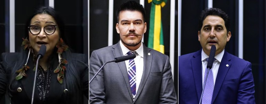 Os deputados Sílvia Waiãpi, Augusto Pupio e Gilvan Máximo