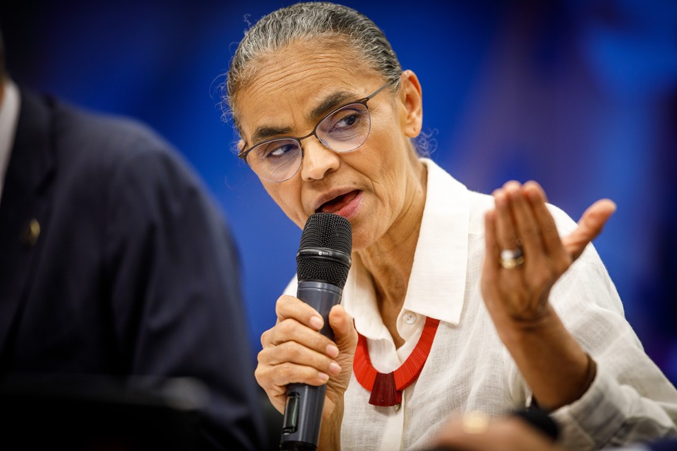 A ministra do Meio Ambiente, Marina Silva, em reunião da Comissão de Meio Ambiente e Desenvolvimento Sustentável — Foto: Brenno Carvalho/Agência O Globo