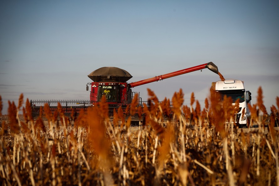 Agronegócio movimenta cerca de 25% do PIB do país