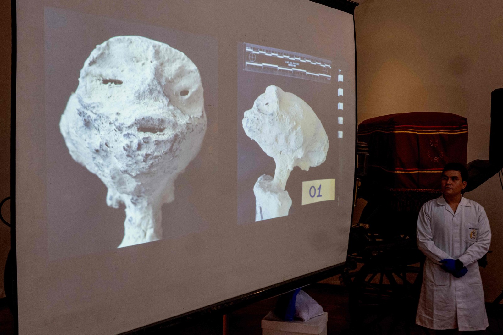 Peru classifica como fraude 'múmias extraterrestres' exibidas no México — Foto: Cris Bouroncle / AFP