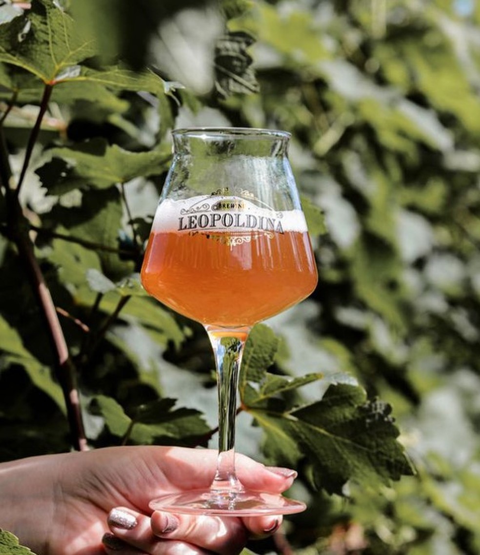 A linha Leopoldina Italian Grape Ale se dedica aos apaixonados por cerveja e vinho — Foto: Reprodução