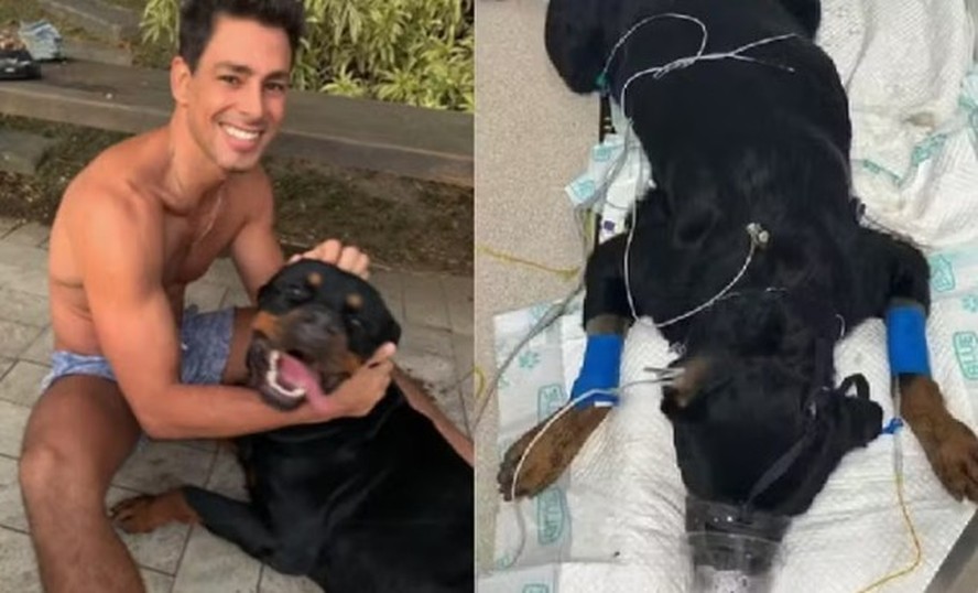 Cauã Reymon lamentou a morte do seu cão nas redes sociais