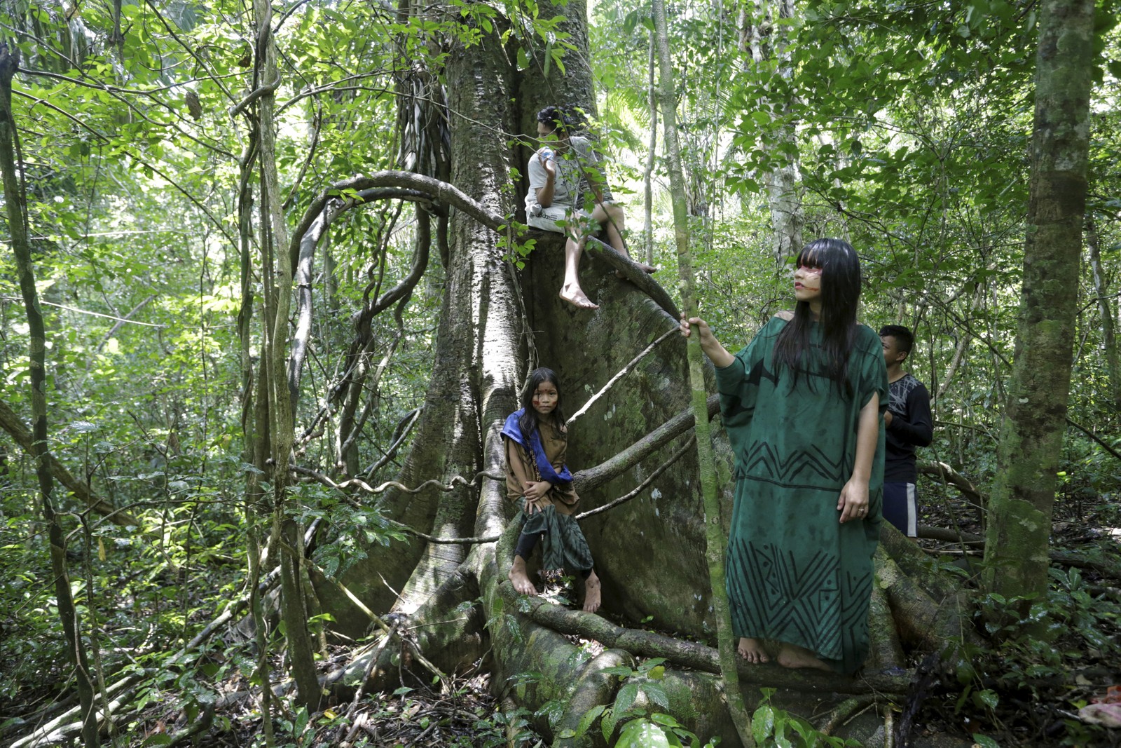Jovens ashaninkas têm uma relação familiar com as árvores da floresta amazônica e aprendem desde cedo a identificar as espécies da floresta 