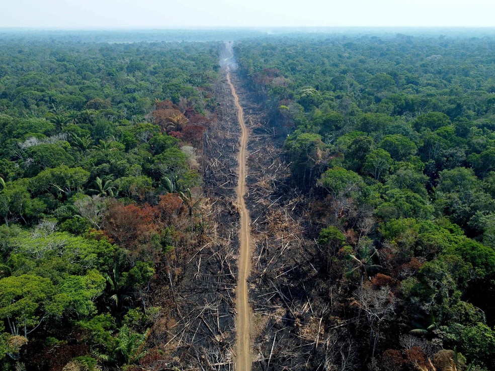 Rota do desmatamento em Humaitá, no Amazonas: recursos do Fundo Amazônia ficarão fora da trava de despesas — Foto: Michael Dantas/AFP